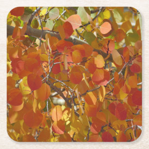 Fall Leaves pulpboard coasters
