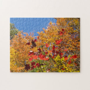 Fall Leaves Puzzle