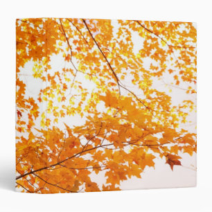Fall Leaves Reflection Binder