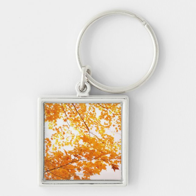 Fall Leaves Reflection Keychain (Front)