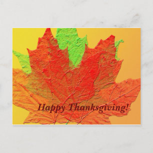 Fall leaves Thanksgiving Postcard