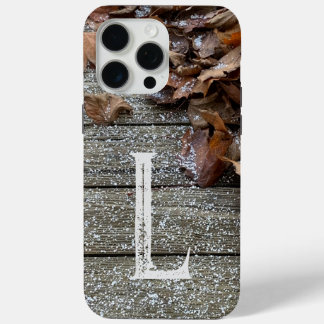 Fall Leaves with snow iPhone / iPad case