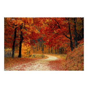 Fall Leaves Woods Autumn Forest Wedding Poster
