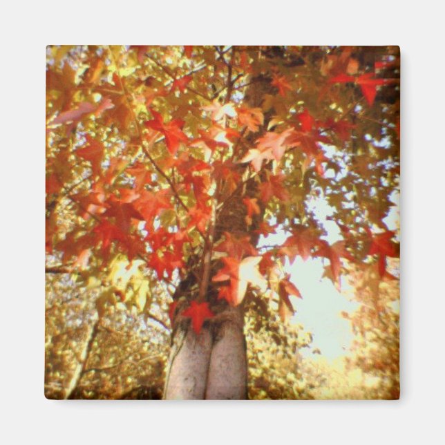 fall magnet (Front)