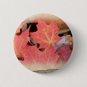 Fall Maple Leaves Coordinating Items 2 Inch Round Button