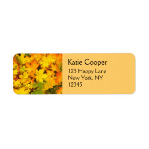 Fall Maple Leaves with Autumn Colours