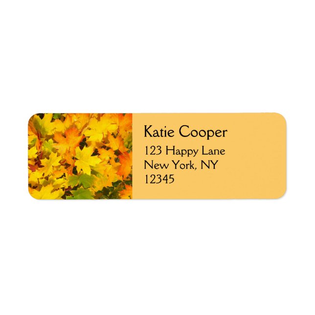 Fall Maple Leaves with Autumn Colours (Front)