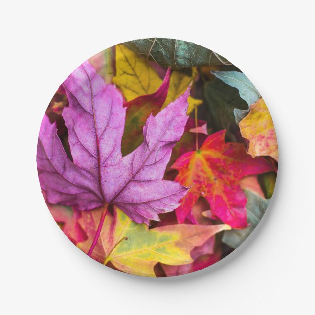 Fall maple tree leaves colourful autumn nature paper plate (Front)