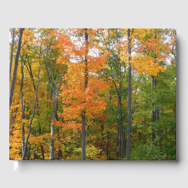 Fall Maple Trees Autumn Nature Photography Guest Book (Front)