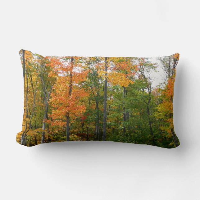 Fall Maple Trees Autumn Nature Photography Lumbar Pillow (Front)
