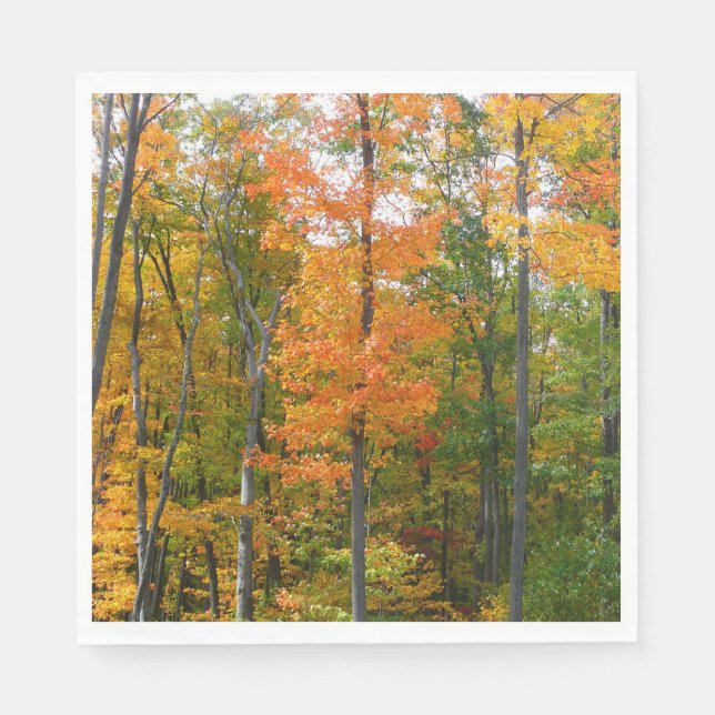 Fall Maple Trees Autumn Nature Photography Napkin (Front)