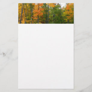 Fall Maple Trees Autumn Nature Photography Stationery