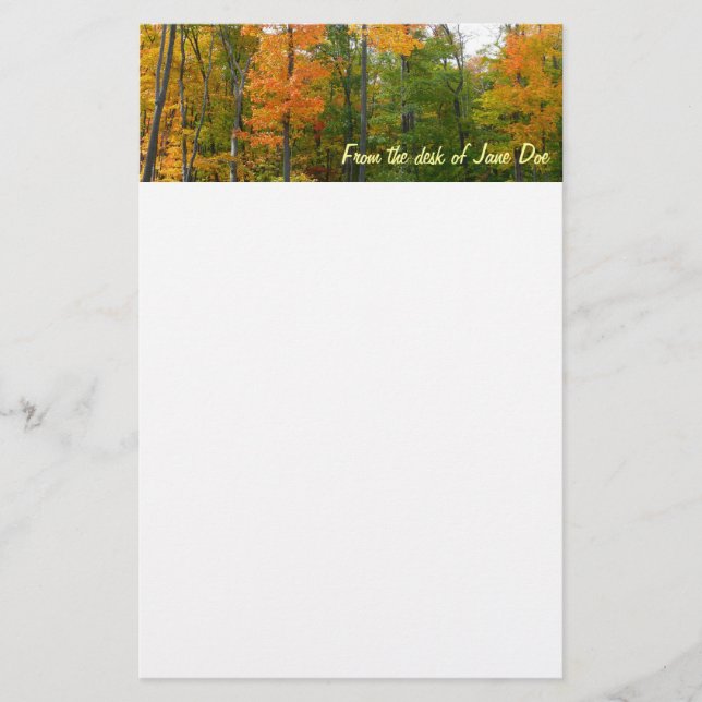 Fall Maple Trees Autumn Nature Photography Stationery (Front)