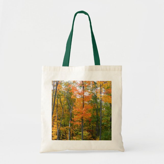Fall Maple Trees Autumn Nature Photography Tote Bag (Front)