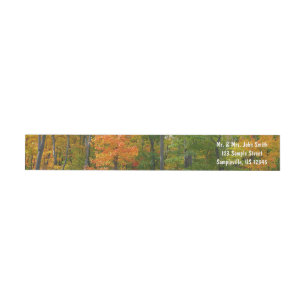Fall Maple Trees Autumn Nature Photography Wrap Around Label