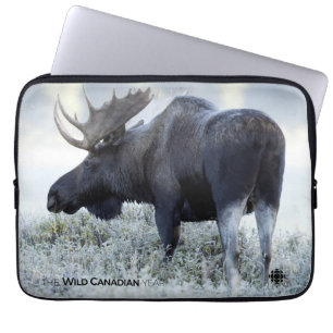 Fall - Moose Laptop Sleeve