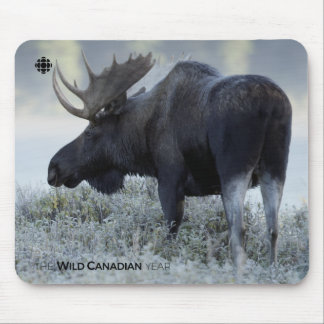 Fall - Moose Mouse Pad