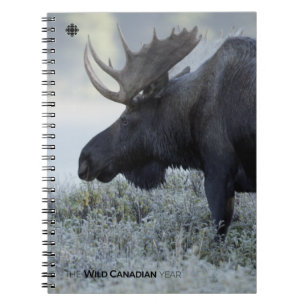 Fall - Moose Notebook