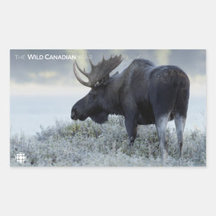 Fall - Moose Sticker