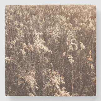 Fall native grasses at Sunrise Stone Coaster
