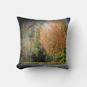Fall Nature Scene Throw Pillow