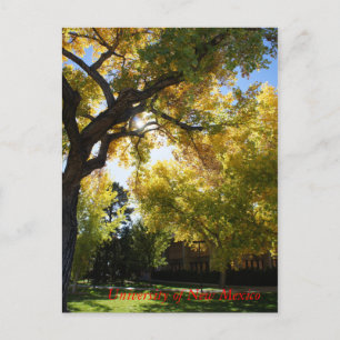 Fall on Campus II Postcard