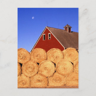 Fall on the Farm Postcard