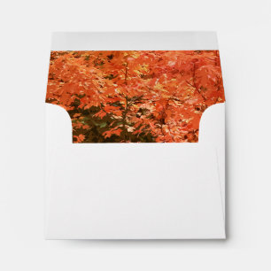 Fall Orange Leaves Wedding RSVP Card Envelopes