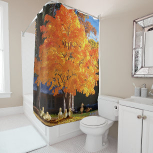 fall orange tree happy ducks cottage forest sunset