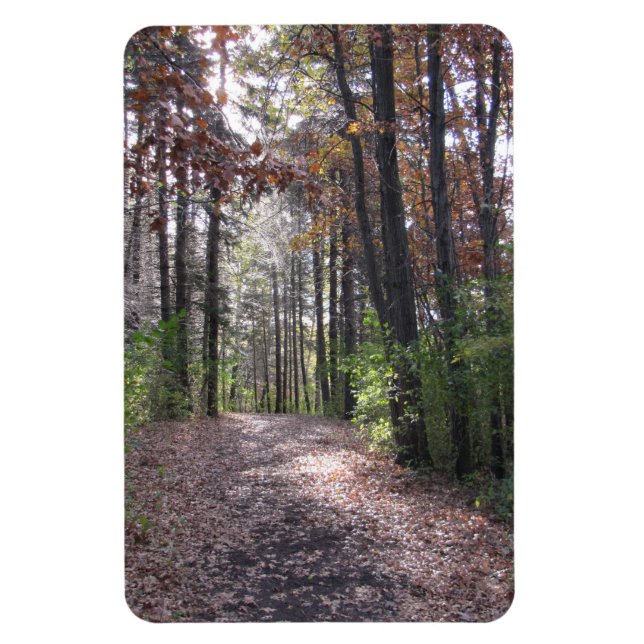 Fall path magnet (Vertical)
