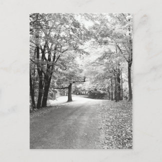 Fall Path Postcard