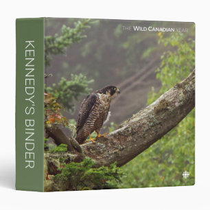 Fall - Peregrine Falcon Binder