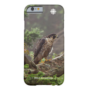 Fall - Peregrine Falcon Barely There iPhone 6 Case