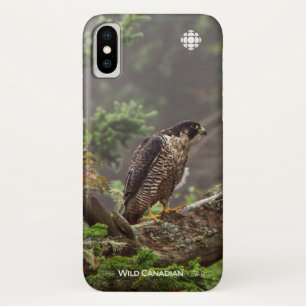 Fall - Peregrine Falcon Case-Mate iPhone Case