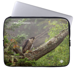 Fall - Peregrine Falcon Laptop Sleeve
