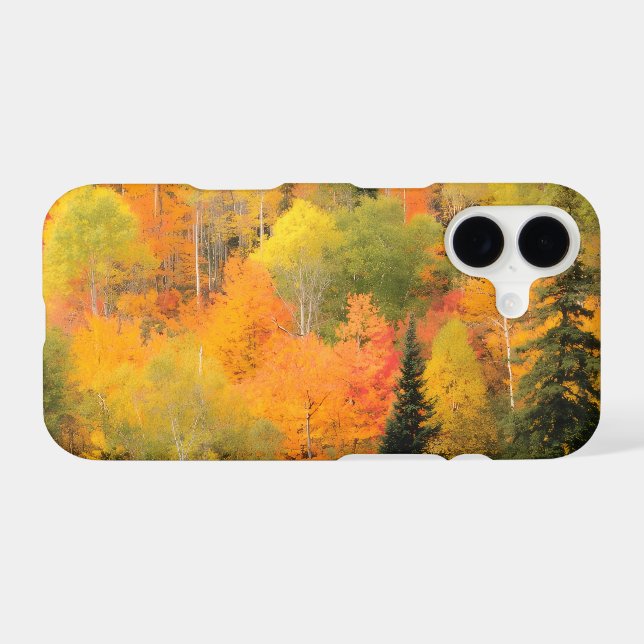 Fall Photography Autumn Forest Colors (Back Horizontal)
