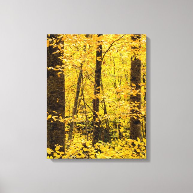 Fall Pisgah National Forest Canvas Print (Front)