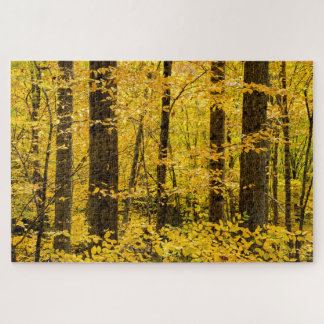 Fall Pisgah National Forest Jigsaw Puzzle
