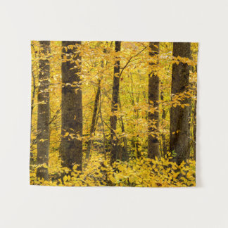 Fall Pisgah National Forest Tapestry