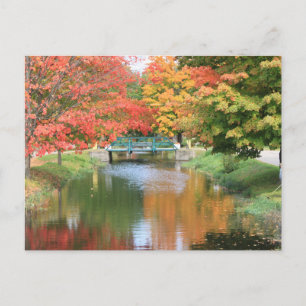 Fall Postcard