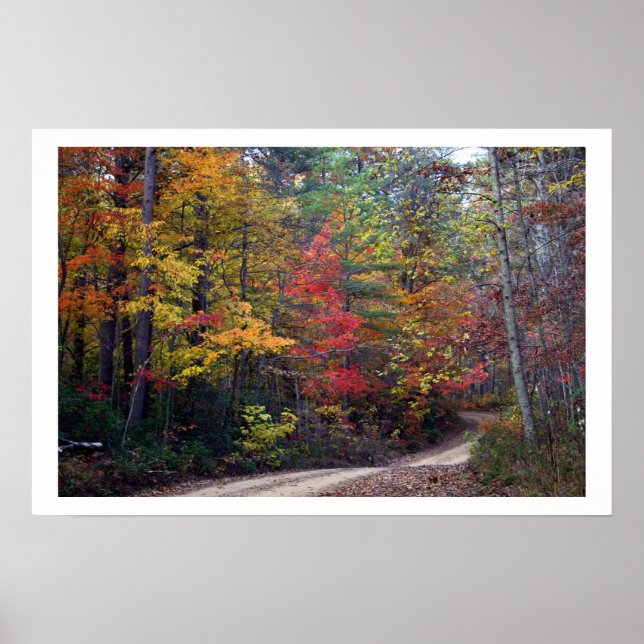 fall poster (Front)