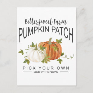 FALL PUMPKIN PATCH POSTCARD