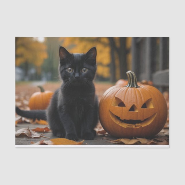 Fall Pumpkin Sweet Black kitten decoupage  Tissue Paper (Front)