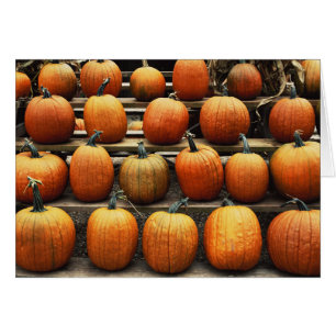 Fall pumpkins