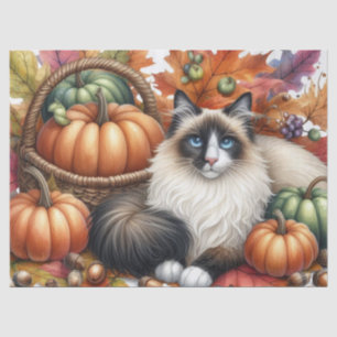 Fall Pumpkins Autumn Leaves Ragdoll Cat Tissue Paper