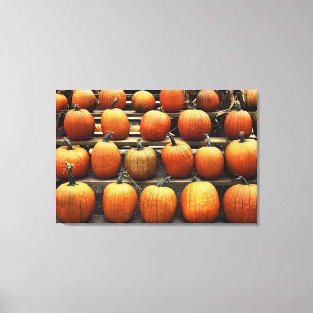 Fall pumpkins canvas print (Front)