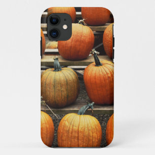 Fall pumpkins iPhone 11 case
