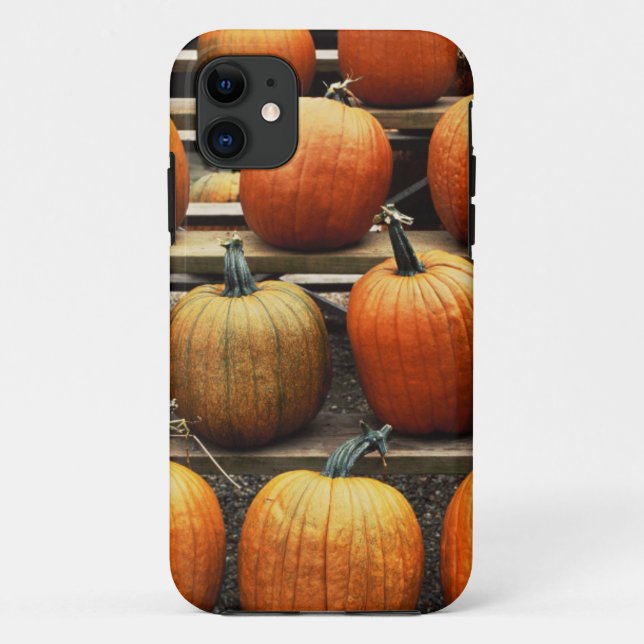 Fall pumpkins Case-Mate iPhone case (Back)