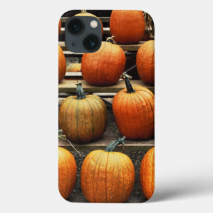 Fall pumpkins iPhone 13 case