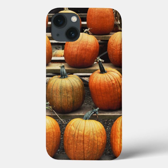 Fall pumpkins Case-Mate iPhone case (Back)